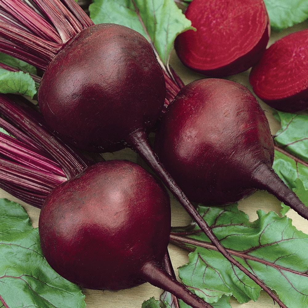 Detroit Dark Red Beet from MIgardener, freshly harvested root vegetable with deep red color and leafy green tops.