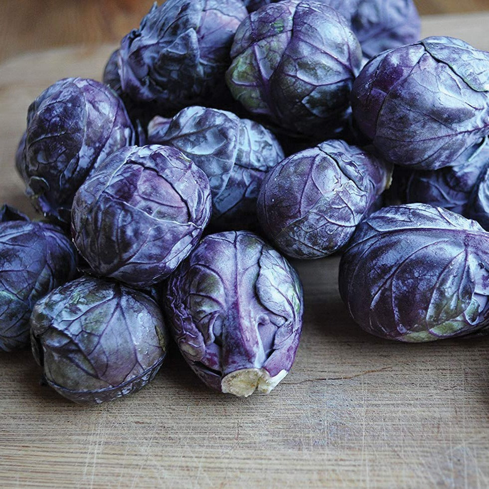 Red Bull Brussels sprouts by MIgardener, fresh green vegetable with tightly packed leaves, ready for cooking or garden planting.