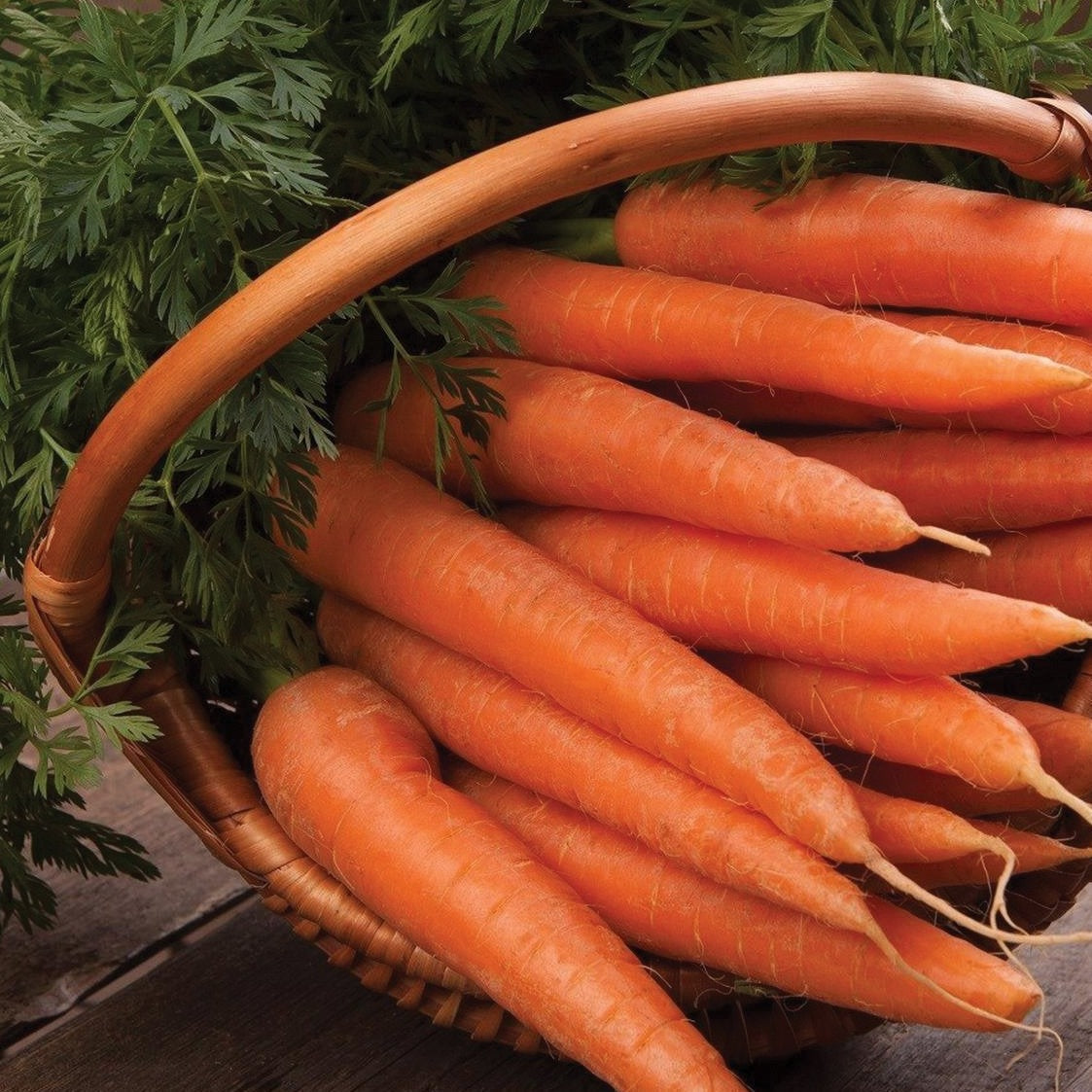 Fresh Danvers 126 carrots from MIgardener, showcasing vibrant orange roots with green leafy tops.