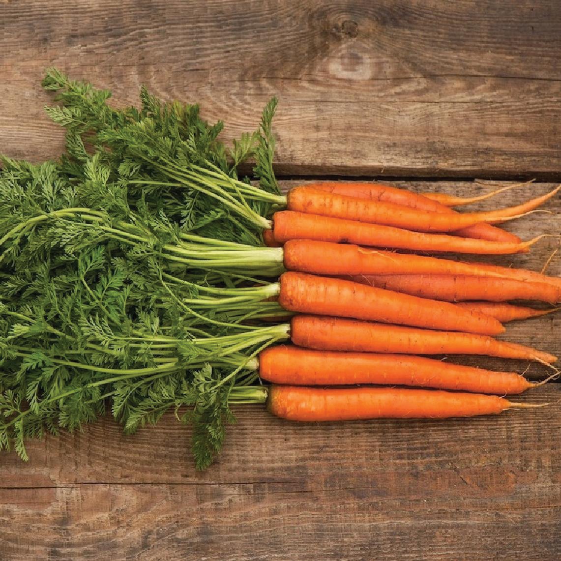 Fresh Scarlet Nantes carrot from MIgardener, showing vibrant orange color and tapered root ideal for garden planting and cooking.