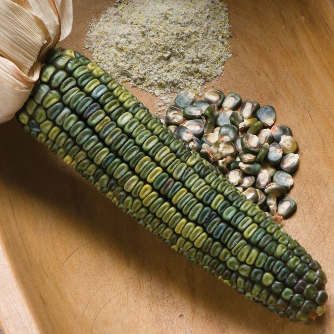 Oaxacan Green Dent Corn from MIgardener showing vibrant green kernels on fresh corn cob.