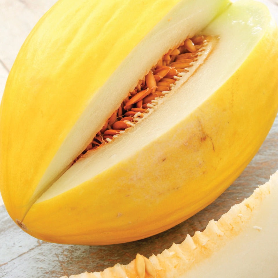Crenshaw melon by MIgardener showing ripe orange flesh and green rind on a fresh melon.