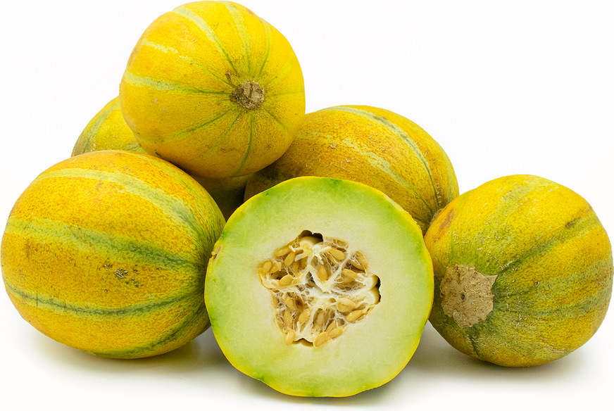 Fresh Ha'Ogen melon from MIgardener, showcasing its round shape and vibrant orange flesh inside.