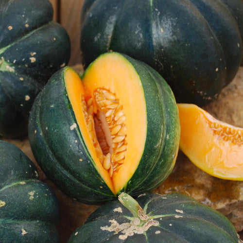 Black Noir Des Carmes melon from MIgardener, ripe and sweet with smooth green rind and orange flesh.