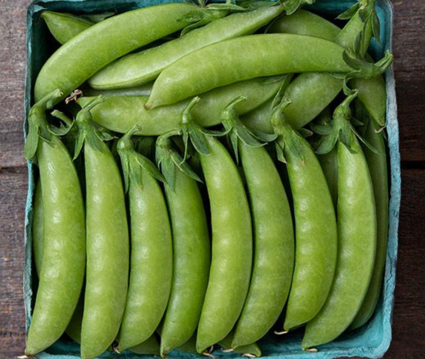 Sweet Gem Pea plant by MIgardener, showing vibrant green pea pods and lush foliage in a garden setting.