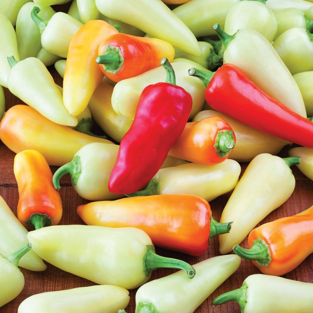 Red Santa Fe Grande pepper from MIgardener, elongated and vibrant, ready for harvest on a plant.