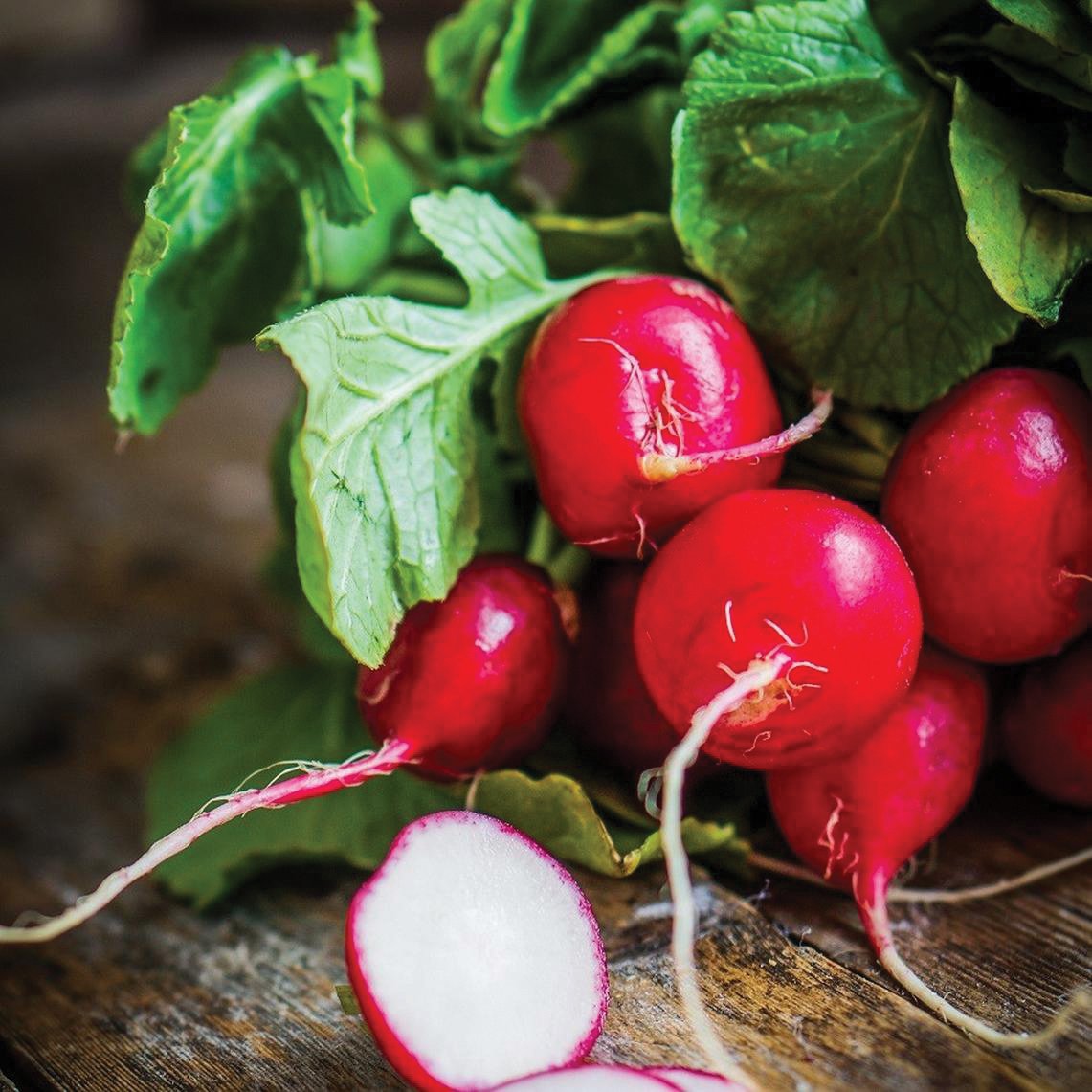 Fresh Cherry Belle radishes from MIgardener, showcasing bright red roots and green leafy tops in a garden setting.