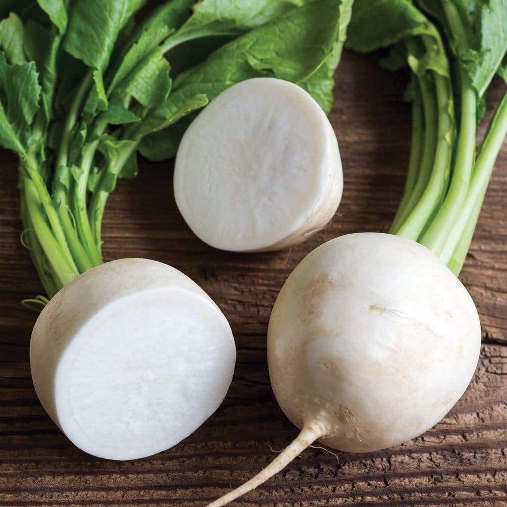 Hailstone radish from MIgardener showing vibrant, round radishes with green tops on a garden bed.