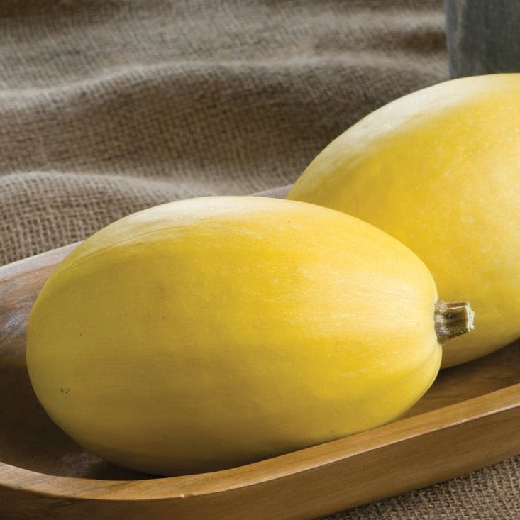 Vegetable Spaghetti Squash - Blessings Grow Meadows