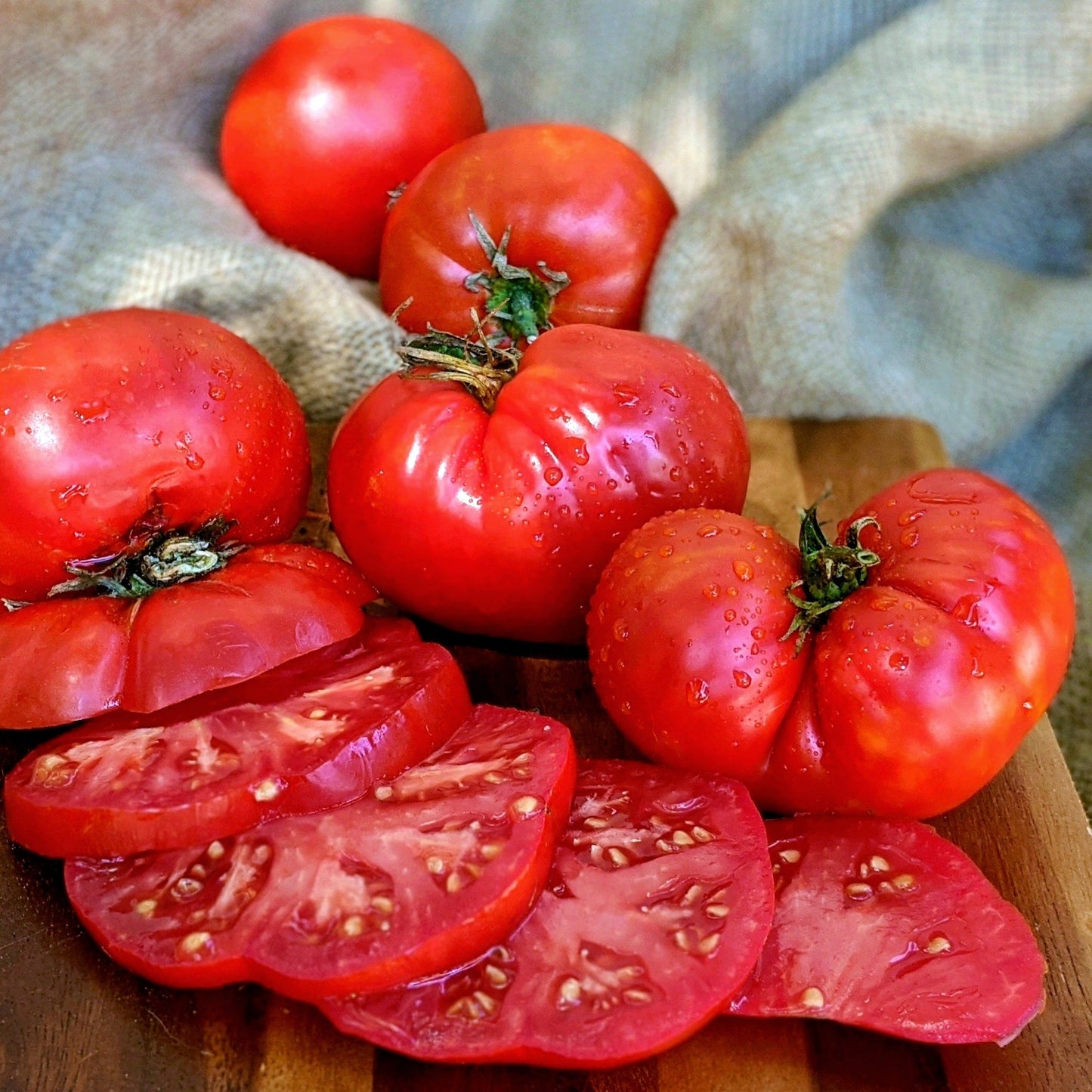 Giant Crimson Tomato by MIgardener, large ripe red tomato on the vine with green leaves, fresh and vibrant.