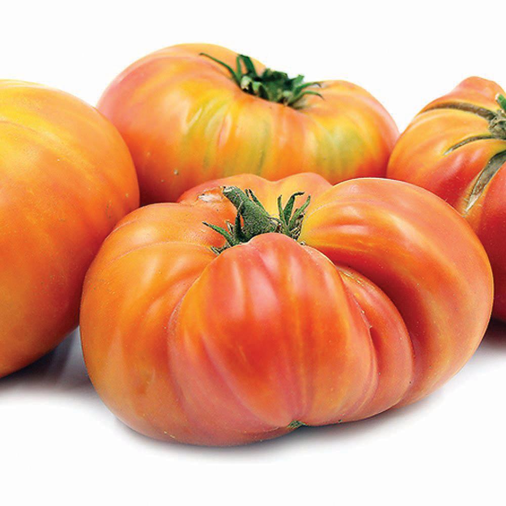 Hillbilly Tomato - Blessings Grow Meadows