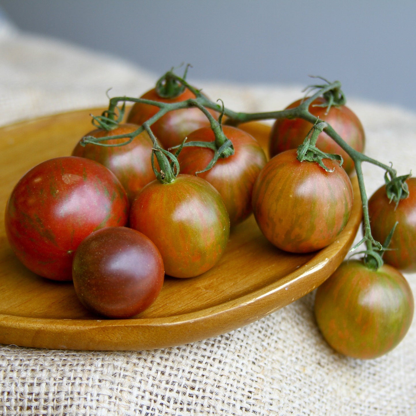 Purple Bumble Bee Tomato from MIgardener, a vibrant heirloom tomato with purple and yellow striped skin and round shape.
