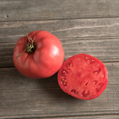 Rose Tomato - Blessings Grow Meadows