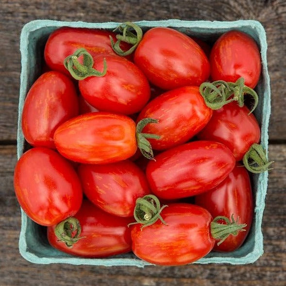 Supernova Grape Tomato - Blessings Grow Meadows