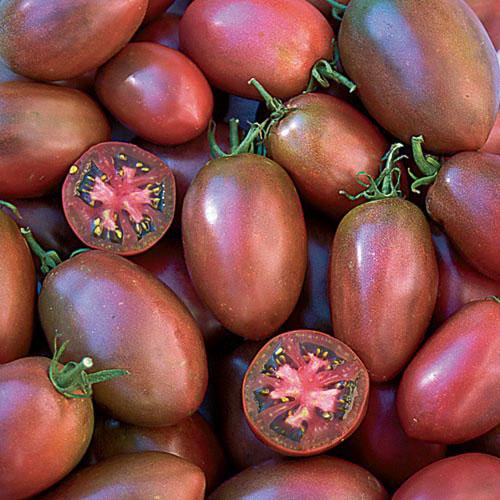Ukrainian purple tomato from MIgardener, showcasing a ripe, vibrant purple tomato with smooth skin and green stem.