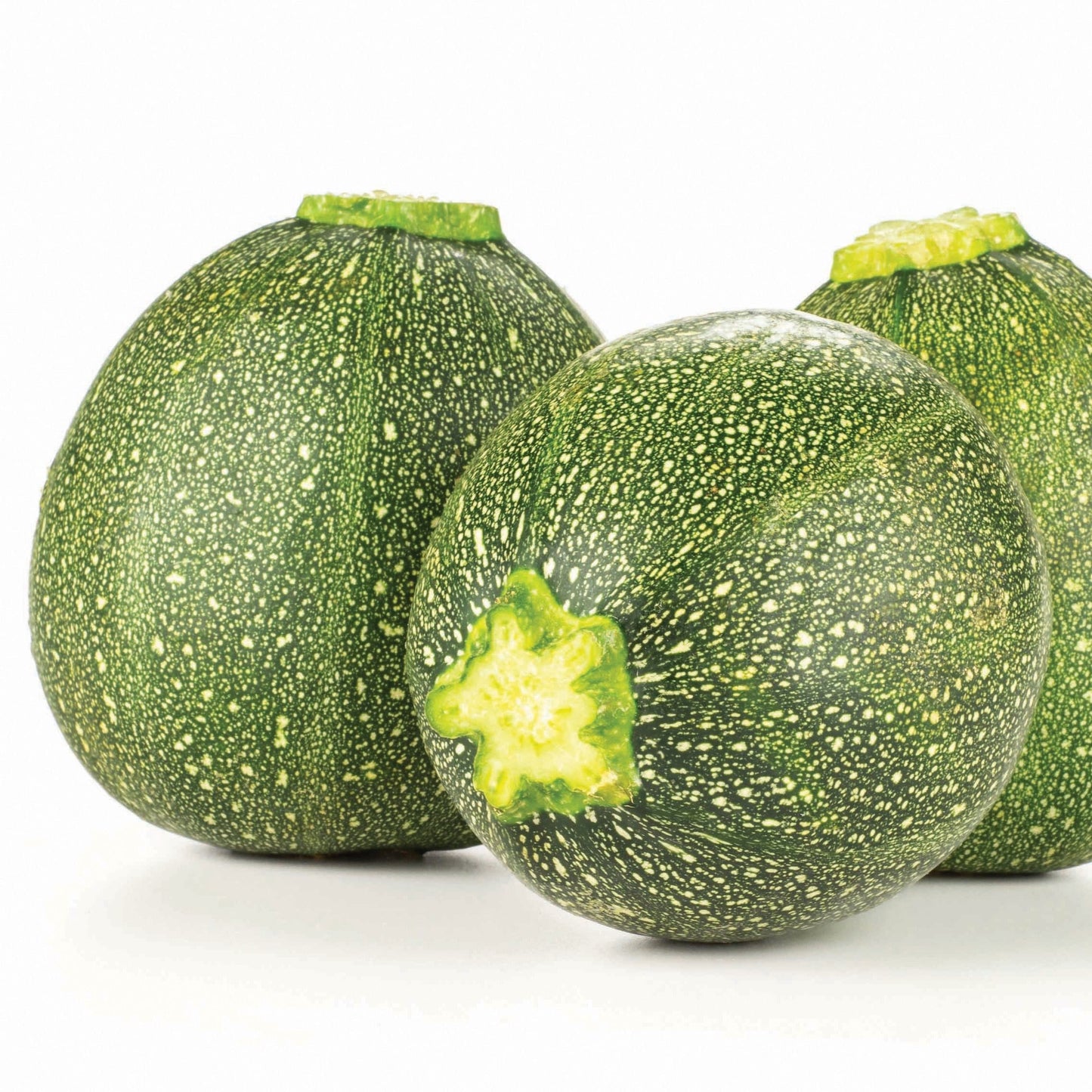 Round zucchini from MIgardener, fresh and vibrant, showcasing its smooth, round shape and bright green skin.