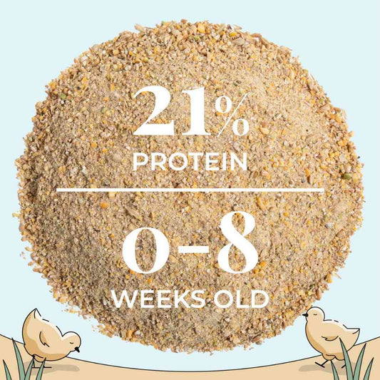 Organic Mile Four Starter Chicken Feed in mash form, 2 lbs, designed for young chickens' nutrition and growth.