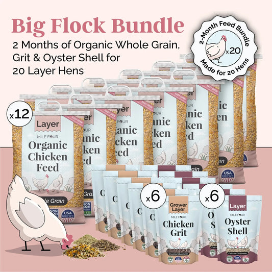 Big Flock Bundle chicken feed from Mile Four, organic mash with grit and oyster shell for 20 layer hens, 2-month supply