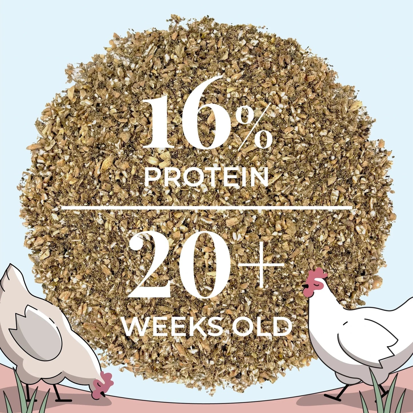 Big Flock Bundle by Mile Four featuring organic chicken feed, grit, and oyster shell for 20 laying hens in a feed bag.