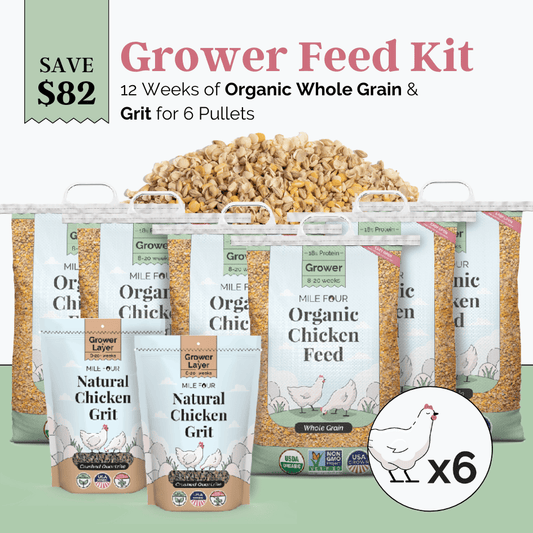 Mile Four Grower Feed Kit with organic chicken mash and grit for 6 pullets, 12-week supply of chicken feed and supplements.