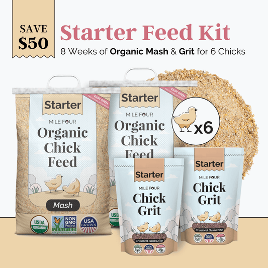 Mile Four chicken feed starter kit with organic mash and grit for 6 chicks, includes 8 weeks of nourishing poultry feed.