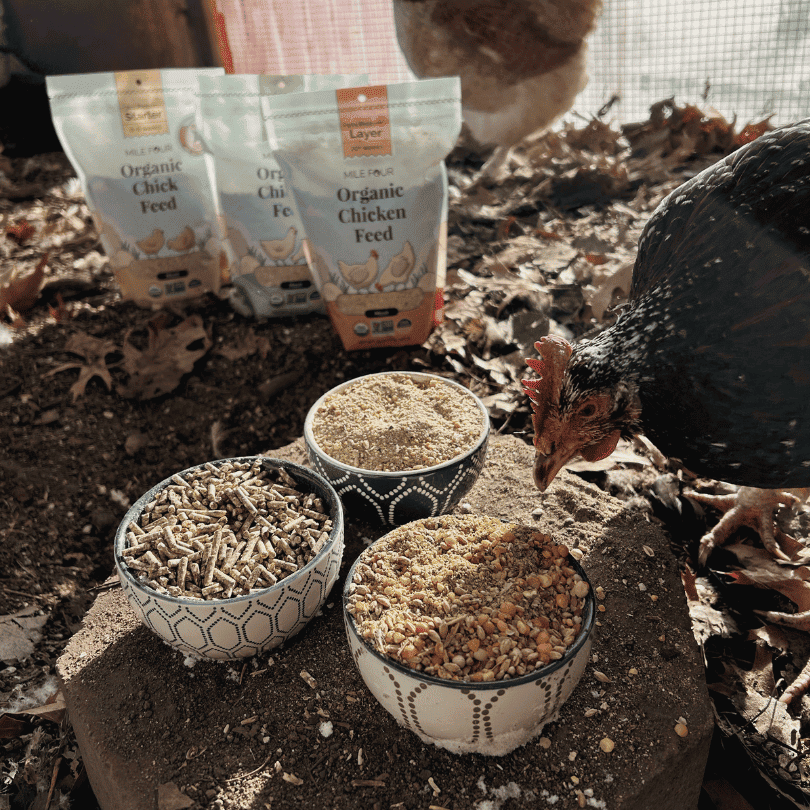 Organic Layer Chicken Feed pellets by Mile Four in a 2-lb bag, suitable for healthy poultry nutrition.