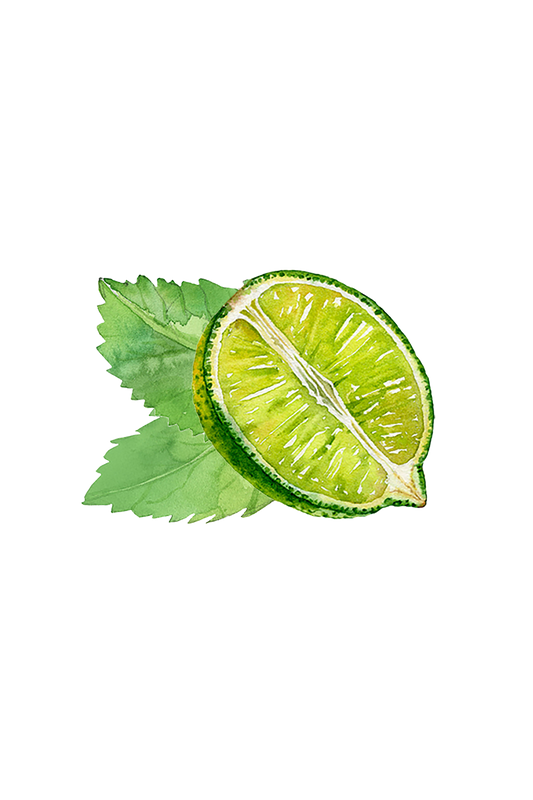 A watercolor illustration shows a halved lime with two green leaves on a transparent background, evoking the refreshing scent of Hand Soap | Invigorating by Rustic Strength.