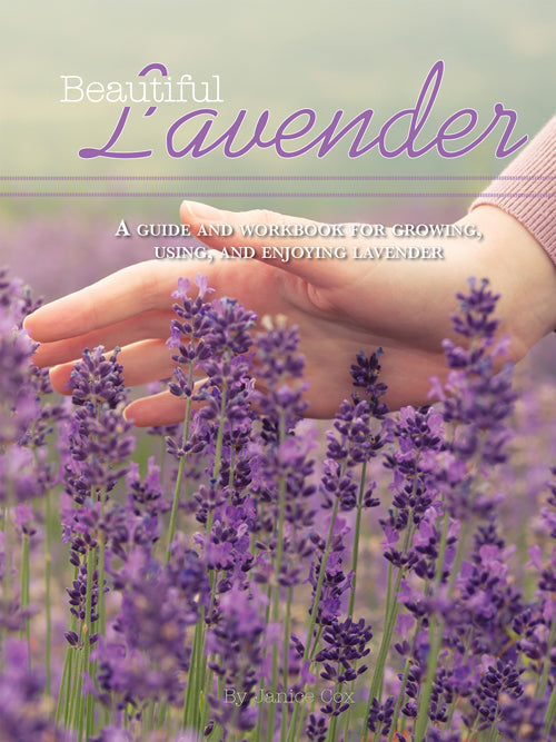 Cover image of "Beautiful Lavender" book by Mother Earth News, featuring a lush lavender field on the cover.
