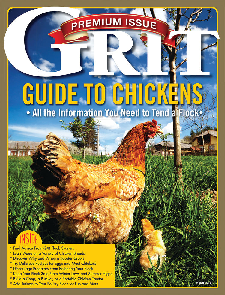 Cover of Mother Earth News Grit Premium Guide to Chickens 2nd Edition magazine featuring chickens and farmyard scene.