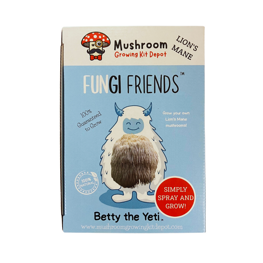 Betty the Yeti Lion's Mane Mushroom Grow Kit by Mushroom Growing Kit Depot, 5 lbs with box, featuring the mushroom spawn and kit packaging.