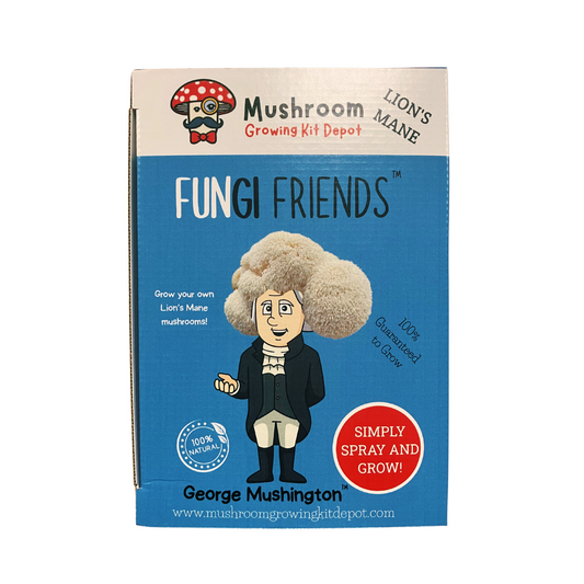George Mushington Lion's Mane Mushroom Grow Kit by Mushroom Growing Kit Depot, 5 lbs with box, featuring fresh mushroom mycelium and packaging.