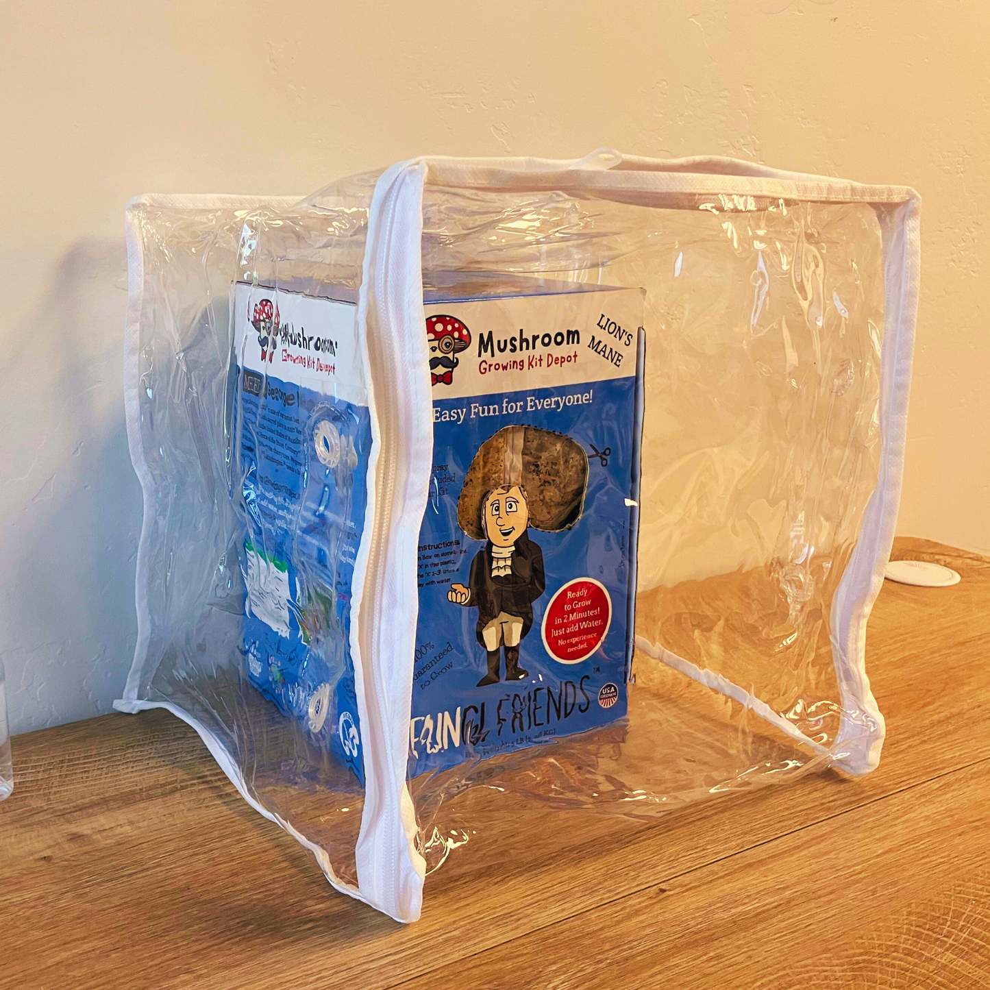 George Mushington Lion's Mane Mushroom Grow Kit, 5 lbs, with box, featuring fresh mushroom mycelium on a container for home cultivation.