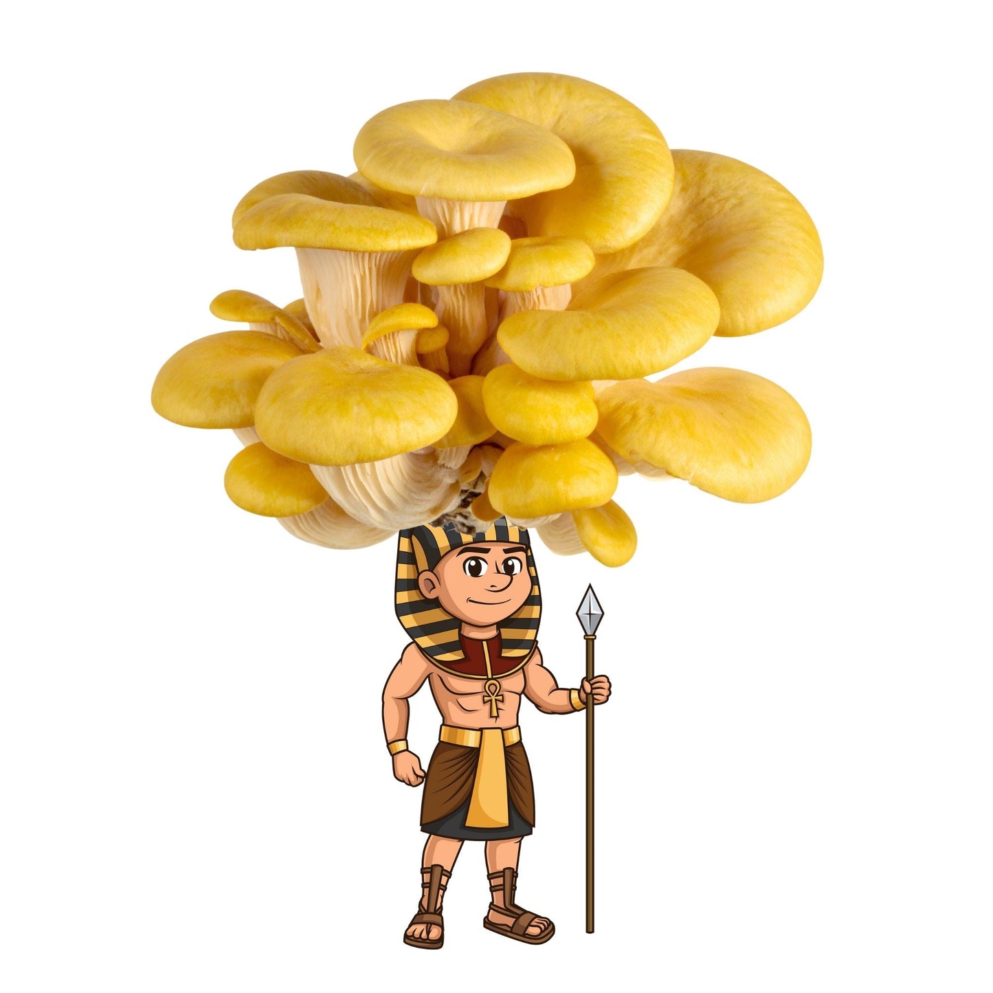 Gold oyster mushroom grow kit by Mushroom Growing Kit Depot, Ramushes the Great, 6.5 lbs, featuring fresh oyster mushrooms in a ready-to-grow kit.