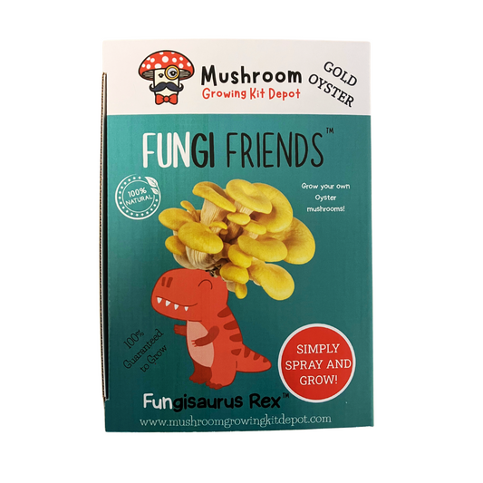 Gold Oyster Mushroom Grow Kit by Mushroom Growing Kit Depot, 5 lbs box with visible mushroom substrate and growing mushrooms.