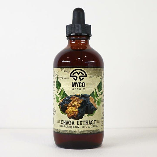 Mycomatrix CHAGA adaptogenic mushroom extract from Mushroom Mountain in a 2oz jar with fresh Chaga mushroom pieces.