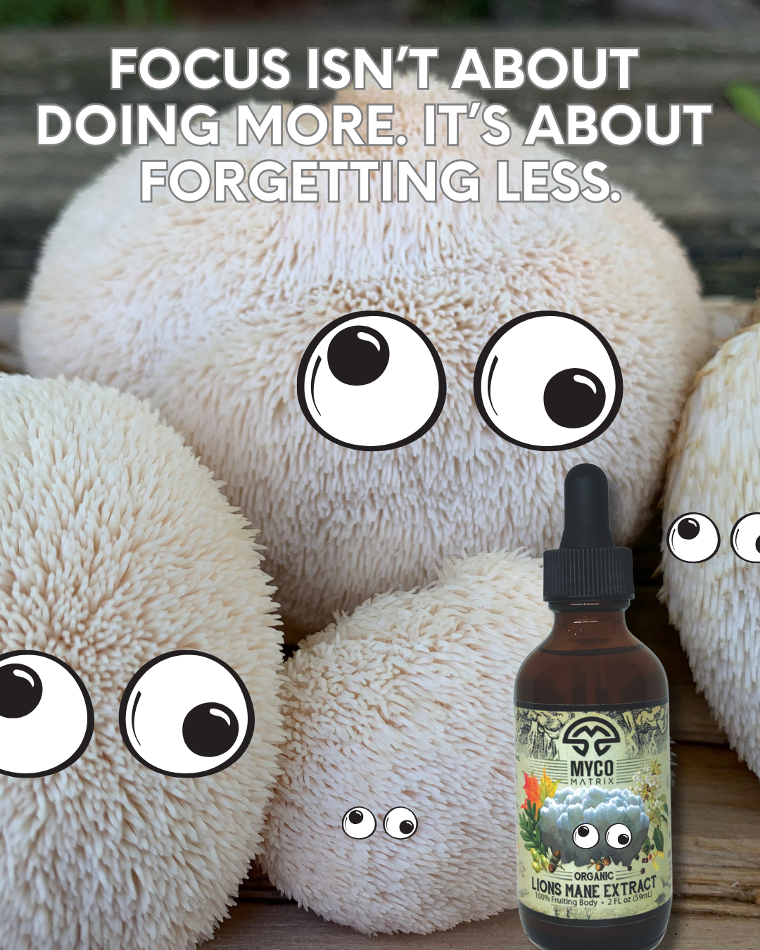 Mycomatrix Lions Mane adaptogenic mushroom extract bottle by Mushroom Mountain, showcasing the 2oz container with label.