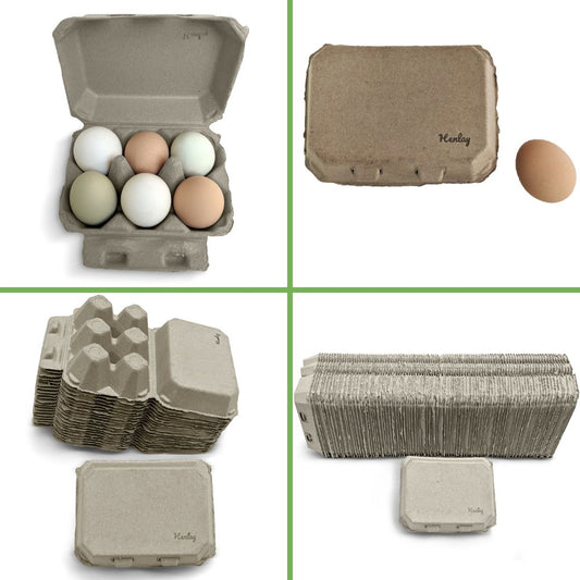 Six-pack of Henlay blank flat top egg cartons by My Pet Chicken, available in two colors, suitable for 20 or 100 eggs.