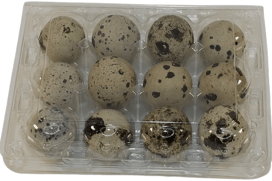 12-cell Large Jumbo Quail/Pigeon Egg Cartons (3x4)