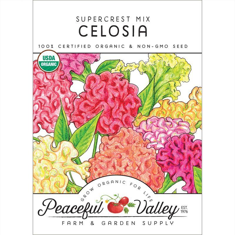 Organic Supercrest Celosia Mix flower seeds from Grow Organic, vibrant colorful seed packet for garden planting