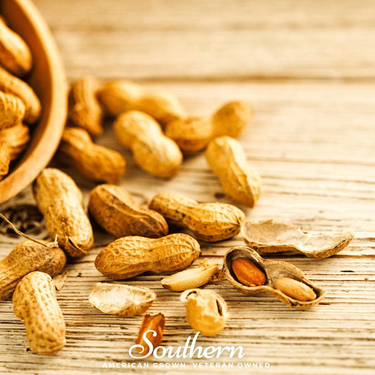Virginia Jumbo Peanuts from Southern Seeds, close-up of 10 peanut seeds with shells, suitable for planting or snacking.