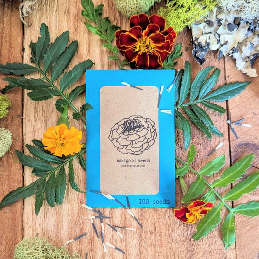 Close-up of Petite Marigold flower seeds from Plantflix, showing tiny seeds ideal for planting bright, cheerful marigold flowers.