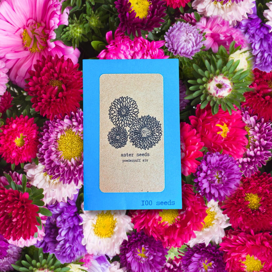 Aster flower seeds from Plantflix, small packet showing vibrant flower seed illustrations on white background.
