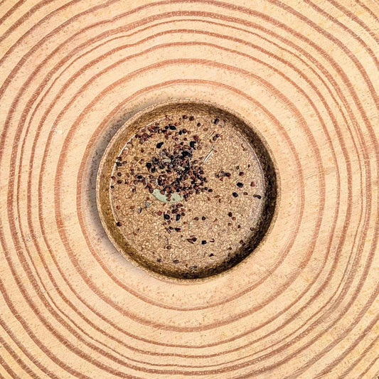 Eucalyptus Pulverulenta Baby Blue Seeds - Blessings Grow Meadows -