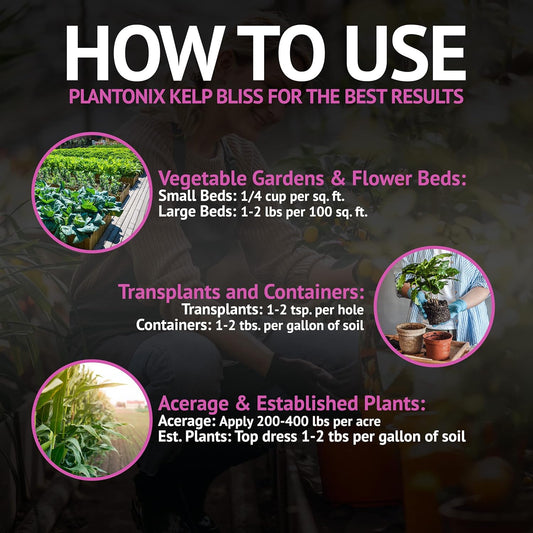 Plantonix Kelp Bliss fertilizer, 1 lb container, pure kelp soil amendment and fertilizer for healthy plant growth.