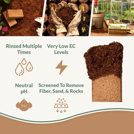 Two Coco Bliss 650g coco coir bricks by Plantonix for growing, shown stacked with natural fiber texture and packaging details.