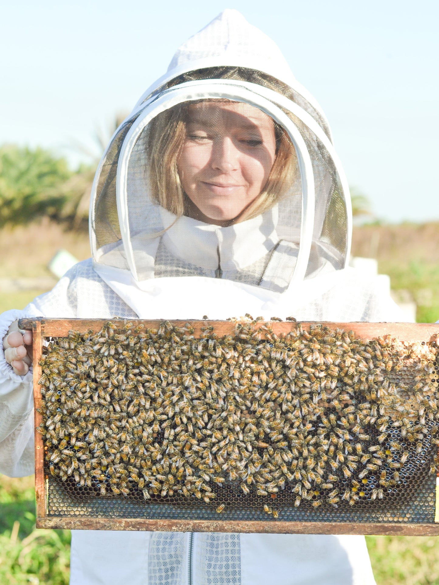 Soft + Gentle Buttermilk Soap Made for Sensitive Skin Fragrance Free Handmade Tallow and Goat Milk Soap Bar - Blessings Grow Meadows