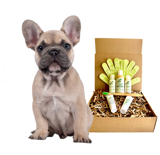 ReNewedPet 4-Furry Dogs Regular Grooming Kit with grooming supplies for small furry dog breeds.