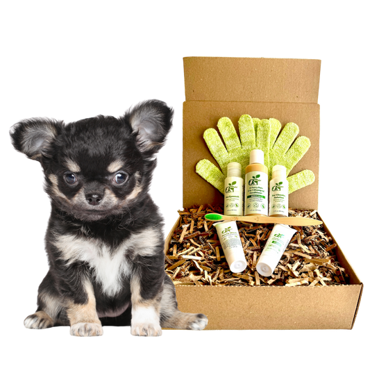 ReNewedPet 4-Furry Dogs Sensitive Grooming Kit with four furry dog images and grooming supplies on a white background.