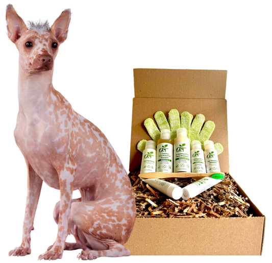 ReNewedPet 4-Hairless Pets Dog Regular Kit with four nudie dog toys and accessories for playful, hairless pet fun.