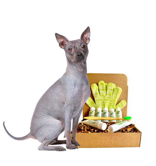 ReNewedPet 4-Hairless Pets Dog Restorative Kit with sample size for hairless dogs, includes grooming and skin care products.